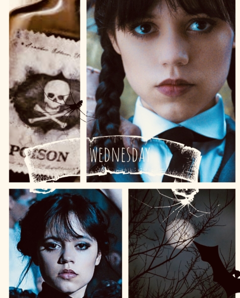 Wednesday Addams; for life, not just for Halloween